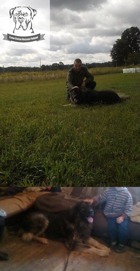 Nadeszla wiekopomna chwila 22.08.2017 Ivan vel Pusiu Okrusiu spakował swą walizkę i się przeprowadził do Olbrachcice woj.opolskie 